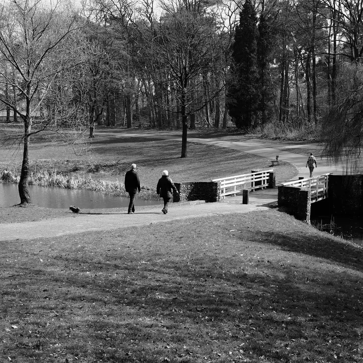 A walk in the park