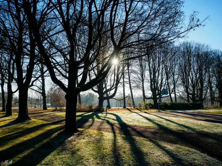 Walk in the park