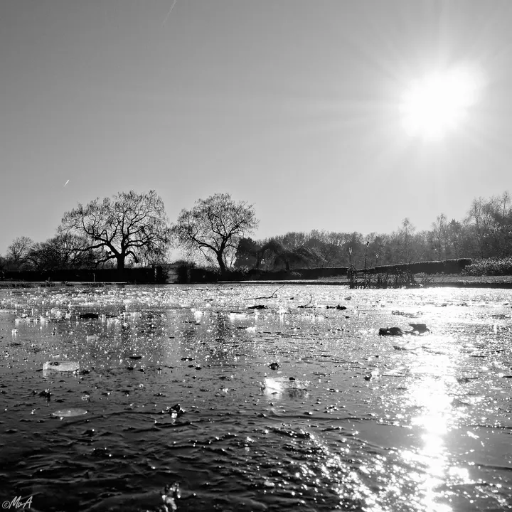 Frozen